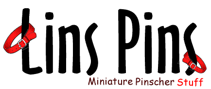 LinsPins.com! Click here to go home.
