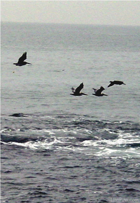 LinsPins.com - Click on image to view larger version!