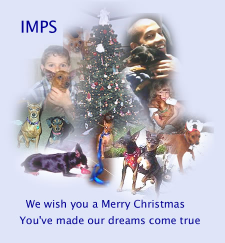 LinsPins.com - Click on image to view larger version!