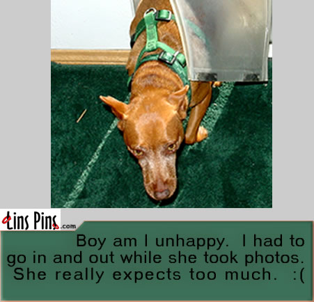 LinsPins.com - Click on image to view larger version!